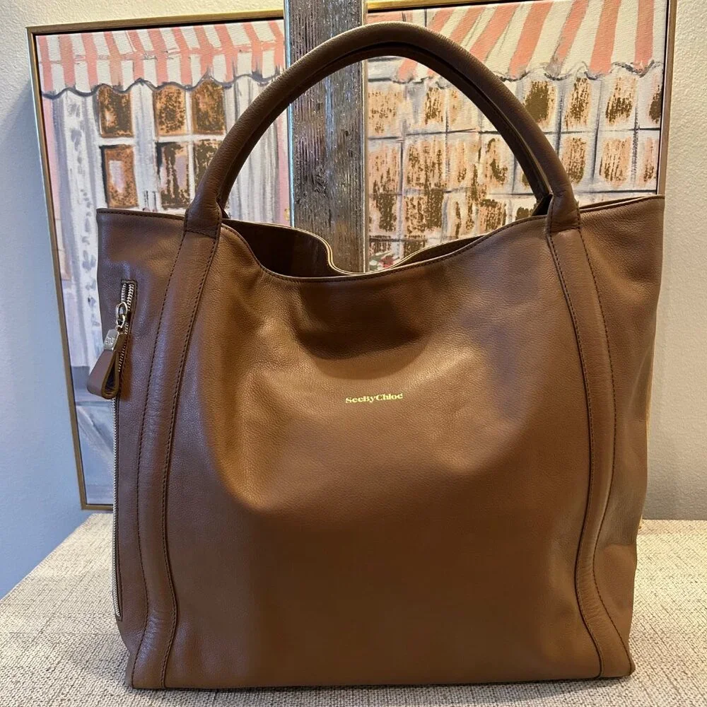 See by Chloe Harriet Side Zip Pocket Hobo Bag - Picture 1 of 11